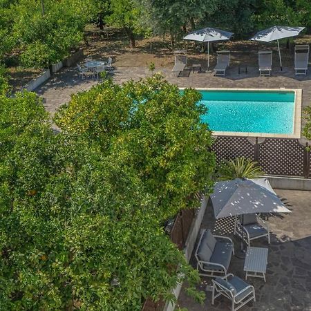 Casa Gege', For Up To 5 Guests, Shared Pool, Sorrento Center Lägenhet Exteriör bild